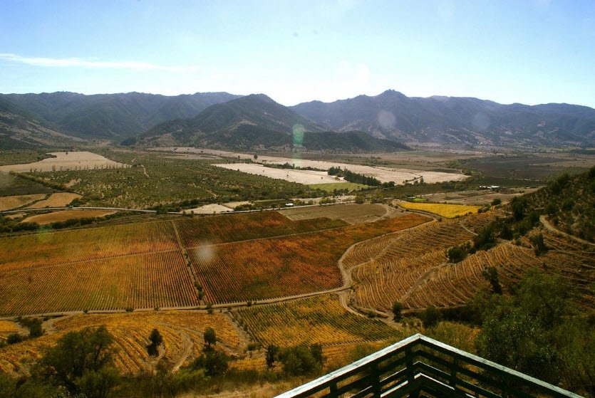 Colchagua Valley, O'Higgins Region, Chile